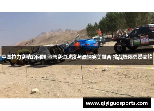 中国拉力赛精彩回顾 驰骋赛道速度与激情完美融合 挑战极限勇攀高峰